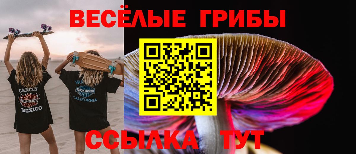Псилоцибиновые грибы мицелий  Вход с VPN  Абинск 